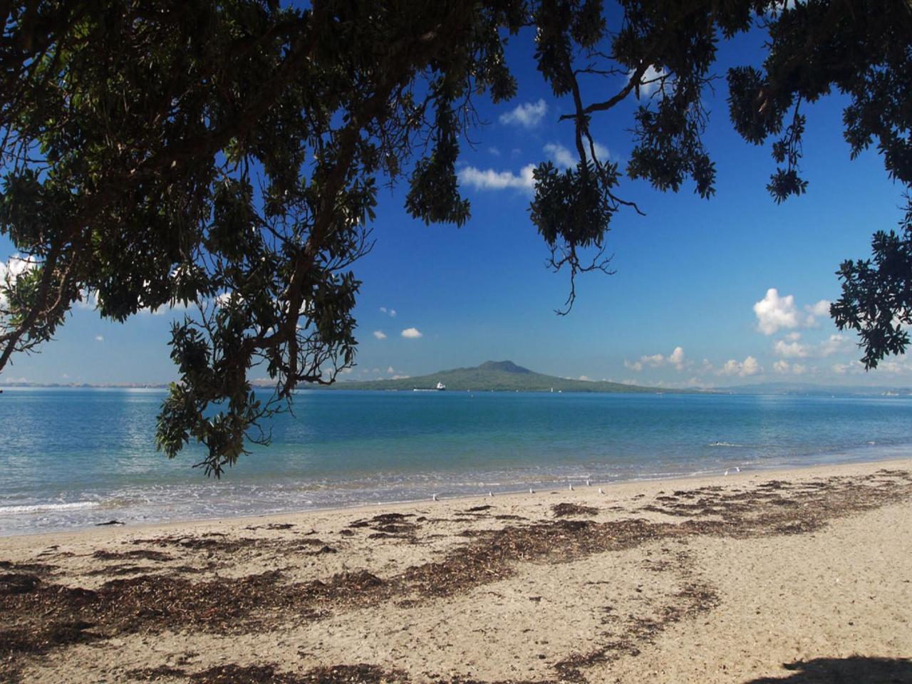Whitby Studio - Mairangi Bay Beach Auckland Ngoại thất bức ảnh